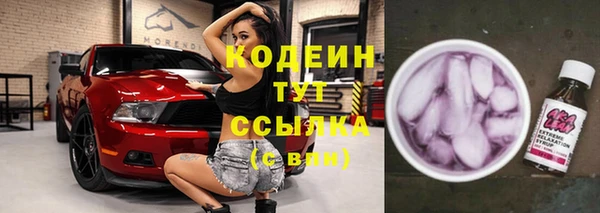 гашик Горняк