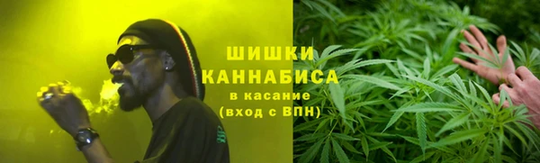 гашик Горняк