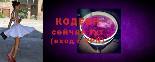 молекула духа Гусиноозёрск