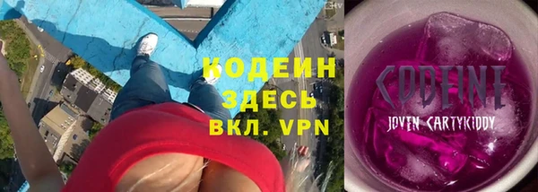 гашик Горняк