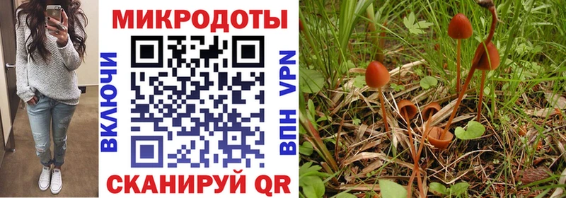 Галлюциногенные грибы MAGIC MUSHROOMS  omg вход  Далматово 